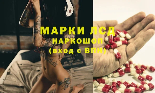Альфа ПВП Магадан
