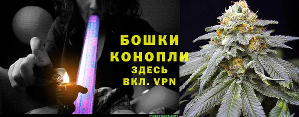 амф Магас