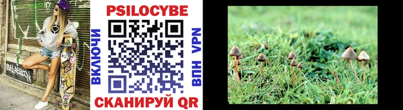 Псилоцибиновые грибы Cubensis  Батайск 