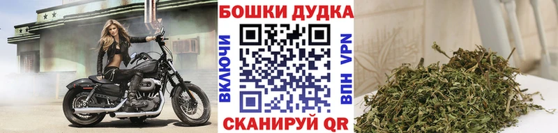 Бошки марихуана Bruce Banner  сколько стоит  Батайск 